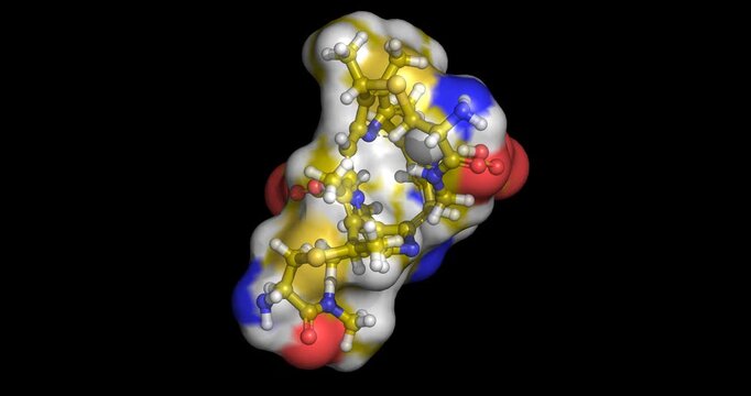 Cytochrome C, hemeprotein electron carrier for mitochondrial respiration and apoptosis initiation, 3D molecule spinning, 4K