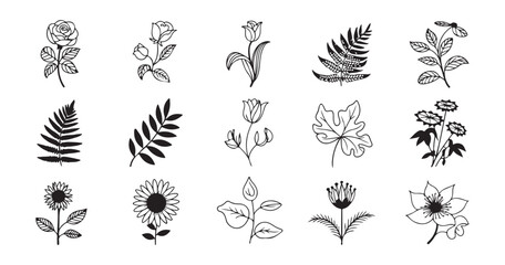 Hand drawn floral illustrations set featuring artistic leaf and flower sketches for vintage projects. © Farik