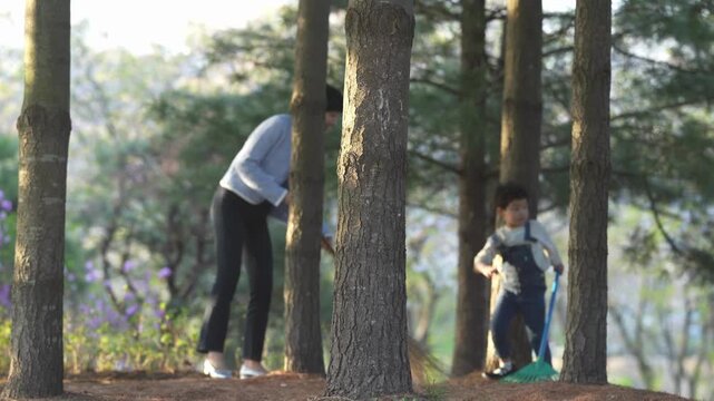 Soft sunlight filters through tall pine trees. Woman sweeps leaves with a broom. Child plays nearby with a small rake. Both appear content, enjoying a quiet forest moment. Ideal for family, nature