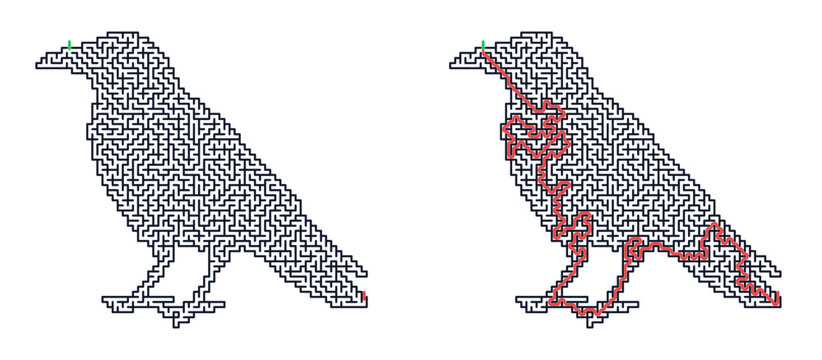 Abstract maze illustration of two crows with detailed line art  