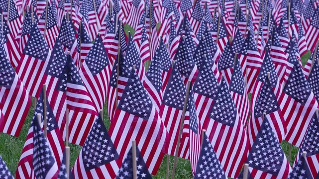 Close up of numerous small American flags planted in green grass for memorial day in Boston, USA