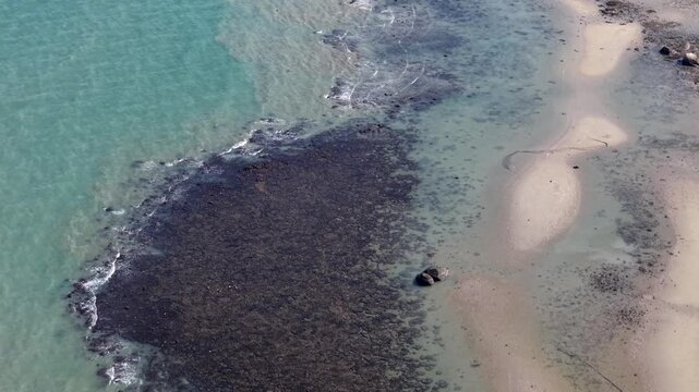 Aerial shot showing a sandy beach blending with a large dark algae patch in clear blue water