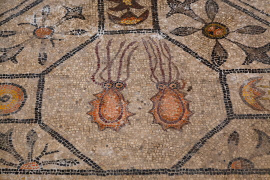 I Tasselli della Storia: I Mosaici della Basilica di Aquileia