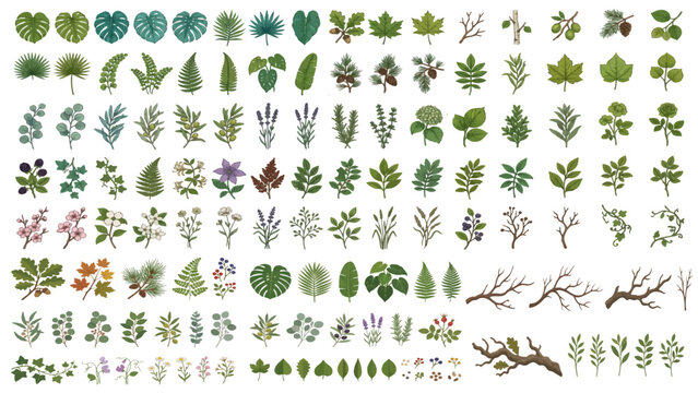 Leaf Branch Flower Botanical Vector Collection Featuring Foliage, Garden Plants, Floral Elements, Natural Greenery and Decorative Branches.
