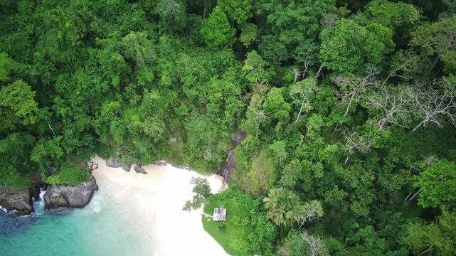 Aerial view of a serene coastline with lush greenery and waves crashing against the shore in Teluk Ijo, Banyuwangi, East Java, Indonesia.