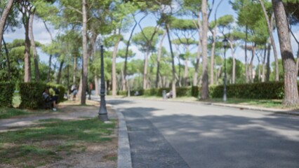 Fototapeta premium Blurred bokeh park background showing soft shallow focus on tree lined path, distant lamp posts and hedges along a quiet avenue; background backdrop copyspace calm.