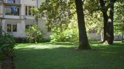 Fototapeta premium Blurred park scene with soft bokeh trees, grassy lawn and distant building facade; background backdrop copyspace calm.