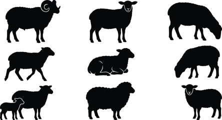 Sheep and Ram Silhouette Vector Icon Set Featuring Lambs Grazing Walking and Standing for Livestock Farming and Countryside Graphic Designs © SUMON
