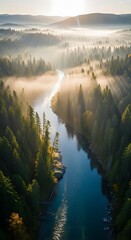 Fototapeta premium Aerial view of a serene river flowing through a lush forest at sunrise.
