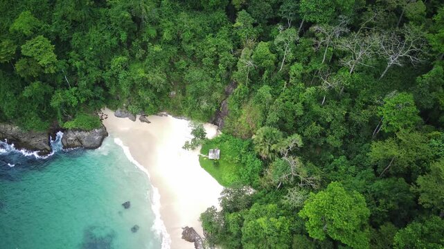 Aerial view of a serene beach with turquoise water, surrounded by lush greenery and dense forest in Teluk Ijo, Banyuwangi, East Java, Indonesia.