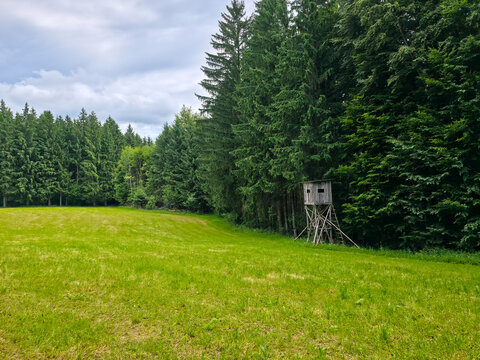 germany, charming hunting stand overlooking lush meadow at forest edge in idyllic black forest countryside