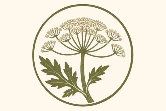 Stylized cow parsnip botanical illustration in a green circle.