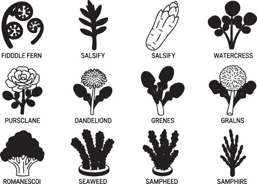 Edible Wild Plants and Vegetables Icon Set: Black Silhouette Vector Collection