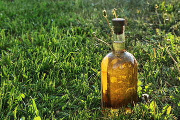 A transparent glass bottle filled with a yellow alcoholic drink or herbal infusion stands on green grass under natural sunlight. This image is suitable for organic product design, summer beverage mark © IZIFOTO