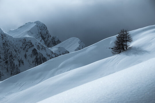 Cloudy snow landscape