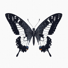 Black and white butterfly illustration on transparent background © Anik