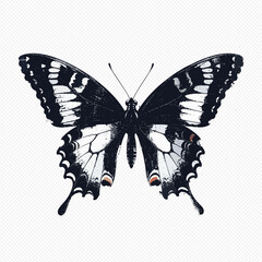 Black and white butterfly illustration on transparent background © Anik