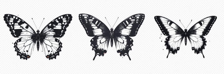 Three Swallowtail Butterflies Detailed Ink Sketch On Transparent Background © Anik
