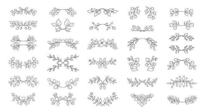 Set of hand drawn delicate leafy dividers borders and laurel wreaths in vintage rustic style vector.