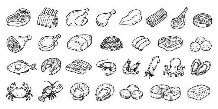 Assorted meat and seafood illustrations featuring fish, shellfish and meat cuts for menus, recipes and food industry designs.