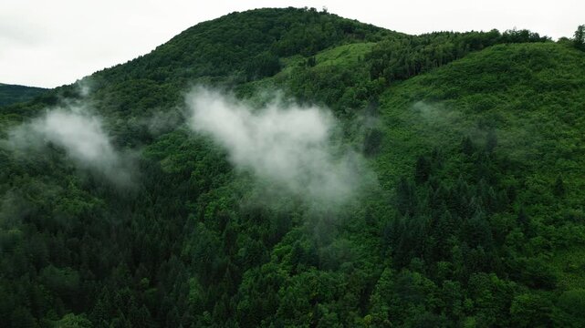 Misty green forest mountain aerial view with low clouds