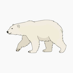 Fototapeta premium Polar Bear Illustration: A stylized illustration depicts a polar bear walking, showcasing its white fur and distinctive features.