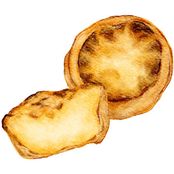 Handdrawn Portuguese Egg Tarts Pastry Realistic Watercolor Illustration | East Asian Snack | Bakery Cafe Food Snack Dessert Menu Element Clipart PNG