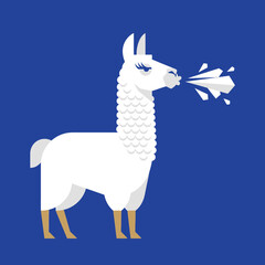 White llama blowing flower petals. © black