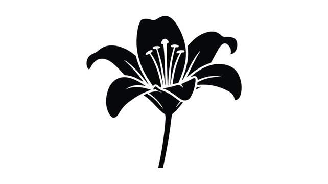 A black and white silhouette illustration of a lily flower