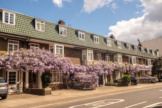 LONDON -  Kensington &ndash; period houses with wisteria