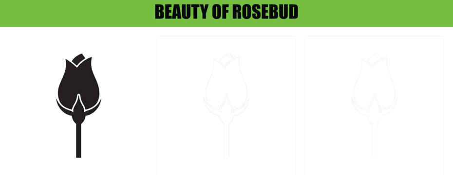 Minimalist vector graphic showing simple rosebud design elements in solid black and white outline art styles sets.