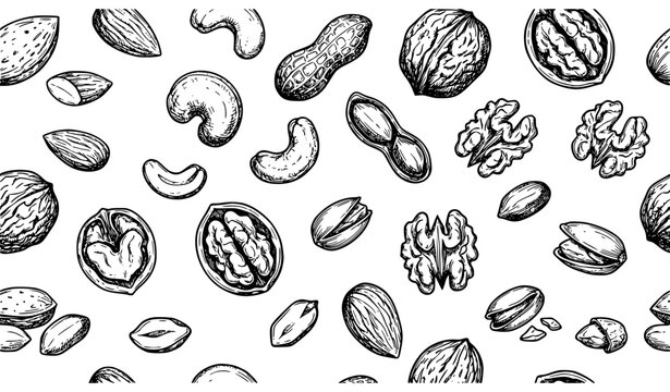 Nuts Seamless Pattern Background Featuring Hand Drawn Vector Sketches of Almonds Walnuts Cashews Peanuts and Pistachios for Food Packaging Designs