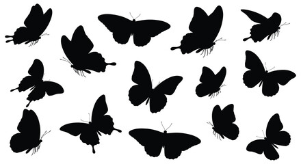 Black Butterfly Silhouettes On White Background Collection Of Insect Shapes © Urmi512