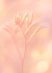 Fototapeta premium Soft pastel floral elegance