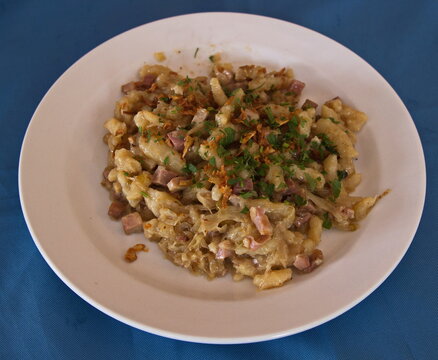 Traditional slovak meal "Halusky" in Czech republic,Europe

