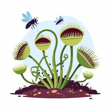 Venus Flytrap Plants with Flies