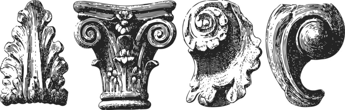vintage architectural ornament elements set classic scrolls and floral engraving decoration