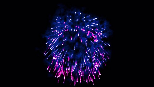 Stunning blue and purple firework explosion in the dark night sky.