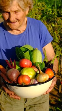 Grandma holds vegetables in the garden. Selective focus.