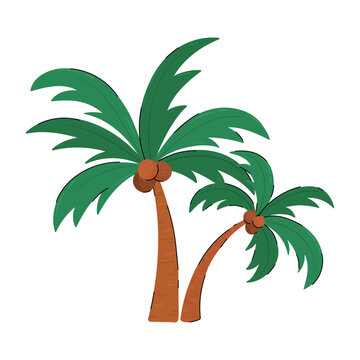 Two palm trees doodle vector illustration. Tropical coconut palms isolated on white background.