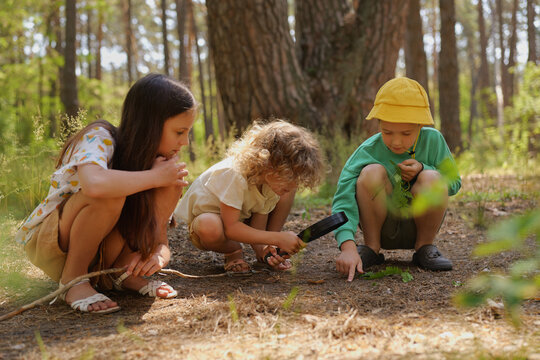 Three children crouch on the ground in a forest looking at plants and insects. One child uses a magnifying glass while others watch and learn about nature