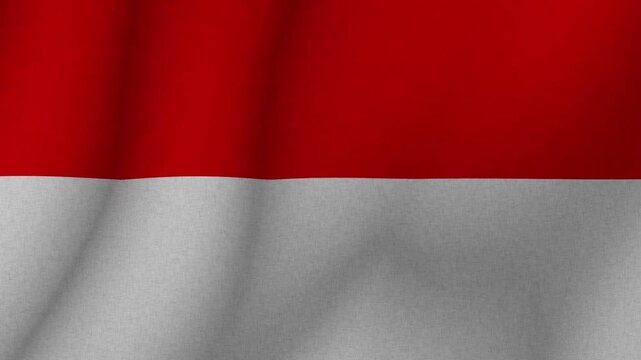 The flag of the flag of Principality of Monaco. The flag of Monaco flag in 3d format. 1080p HD animation for presentation