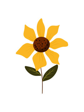 Autumn Sunflower Hand Drawn Illustration Isolated on White