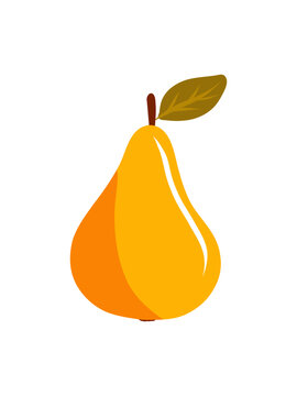 Golden Pear Hand Drawn Illustration Isolated on White