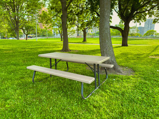 Fototapeta premium Table and bench under trees in a park during the day with green grass and buildings in the background