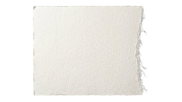 Rough torn edge of textured off-white paper, isolated on transparent background