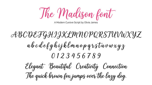 Modern cursive script font, elegant Madison calligraphy typeface with uppercase and lowercase letters, decorative handwriting vector for wedding invitations