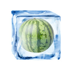 Whole watermelon in ice cube isolated on white © New Africa