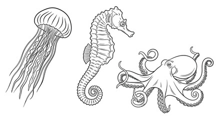Marine life illustration jellyfish seahorse and octopus line art © JBO_STUDIO