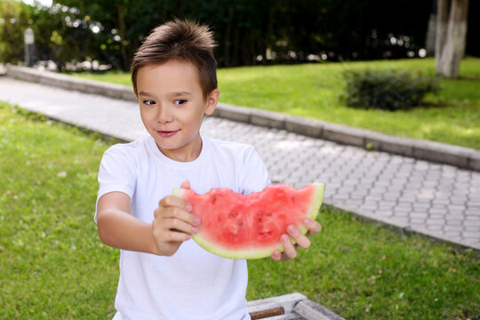 Happy boy holding a juicy watermelon slice in a park on a sunny summer day. Healthy childhood, fresh fruit snack, outdoor recreation, and carefree seasonal lifestyle concept